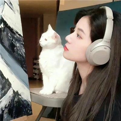 探索新境